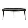 Côté Table Table Basse Irrégulière Noir - Aceri -Sema Design Boutique 38449 DEB WEB