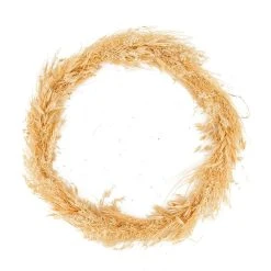 Dijk Couronne De Fleurs Sechees D37x3cm