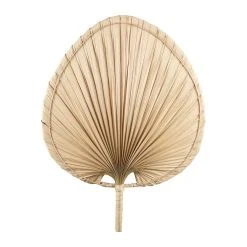 SEMA DESIGN Deco Feuille De Palmier Flora Gipsy 41x33cm