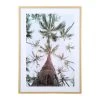 SEMA DESIGN Cadre Deco Encadré Palmier Pastel 52x72cm -Sema Design Boutique 75898 DEB WEB